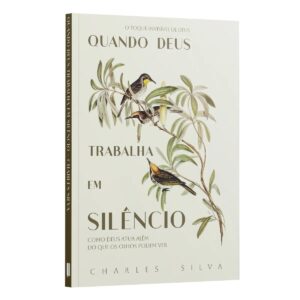 Quando Deus Trabalha em Silêncio - Como Deus Atua Além do que os Olhos Podem Ver